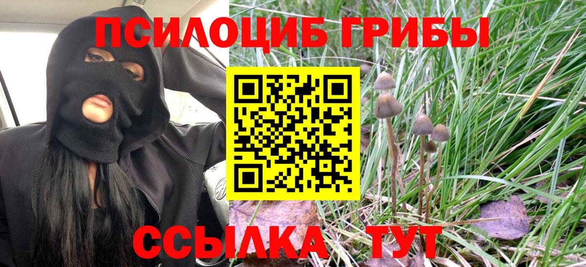Галлюциногенные грибы GOLDEN TEACHER Кольчугино