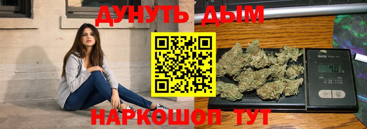 Шишки марихуана конопля Кольчугино